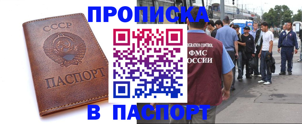 временная регистрация поиск в Выборге